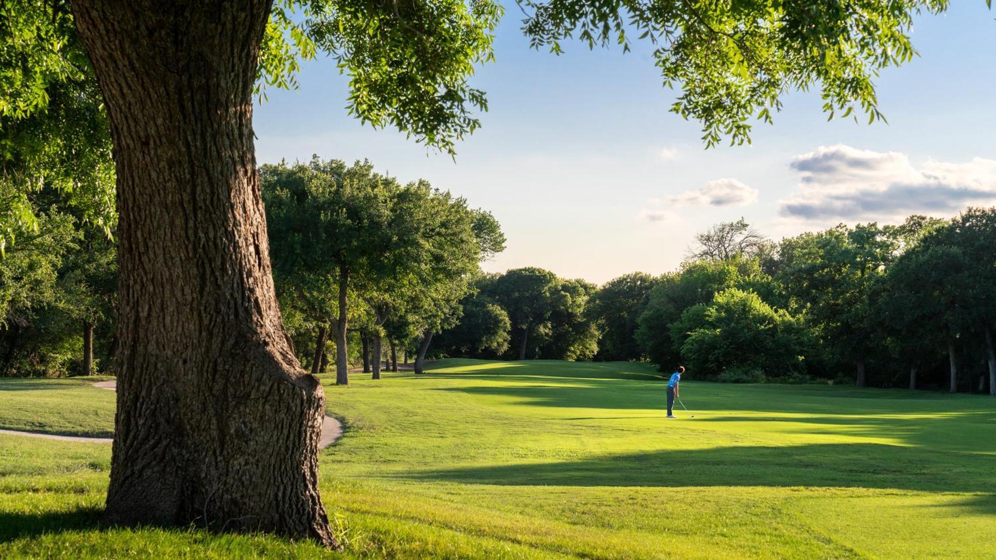 Dallas/Fort Worth Marriott Hotel & Golf Club At Champions Circle Roanoke Exterior foto